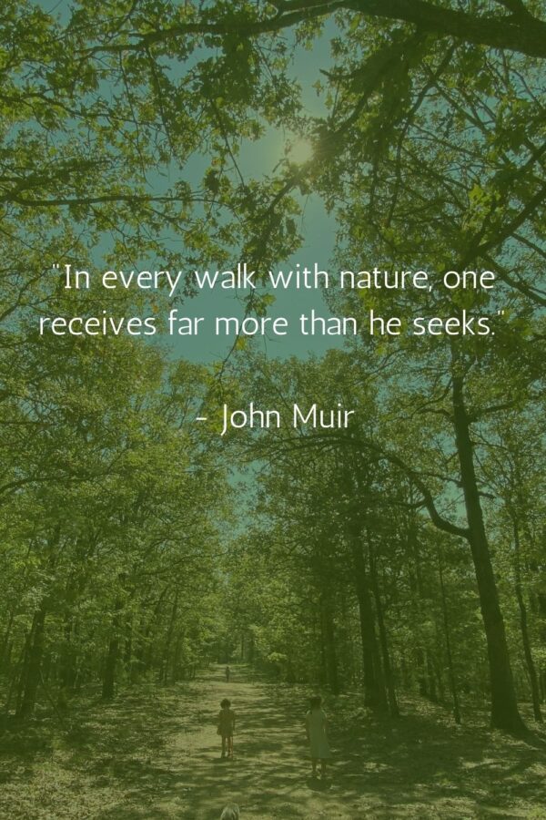 Quotes about Nature & Children That Will Inspire You to Start a Forest ...