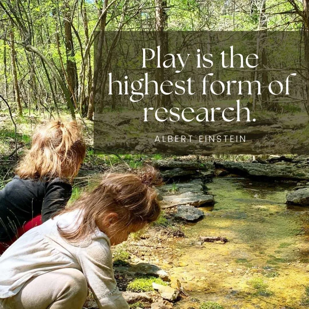 Albert Einstein Quote about play being the highest form of research