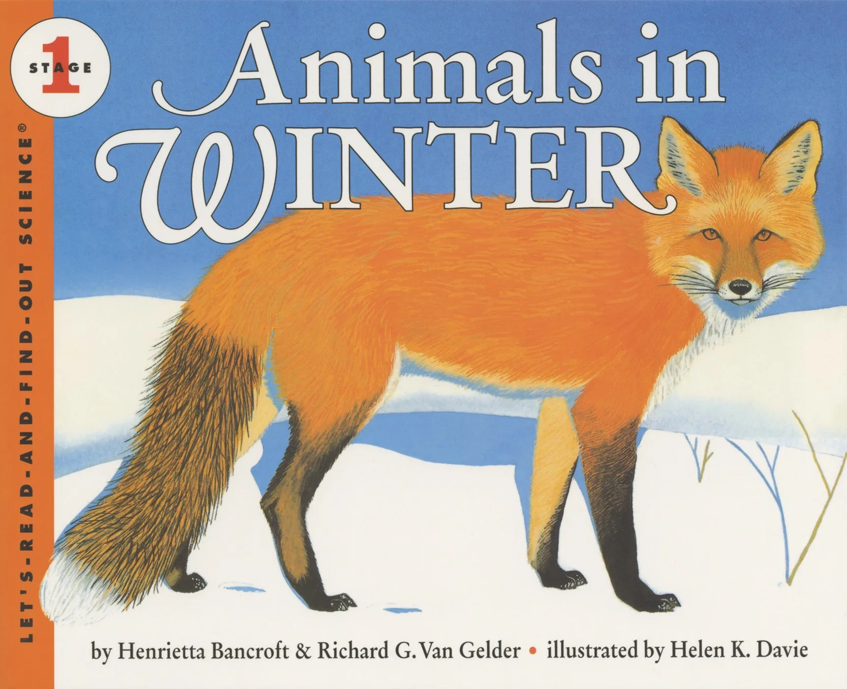 Animals in Winter Children's Book