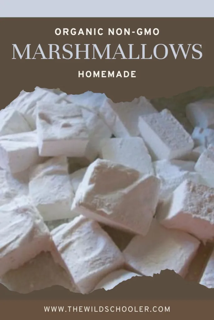 homemade marshmallow recipe non-gmo
